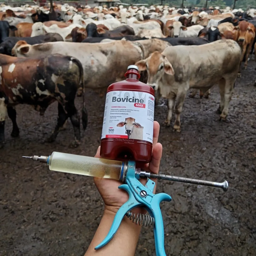 Producto veterinario Bovicine en uso