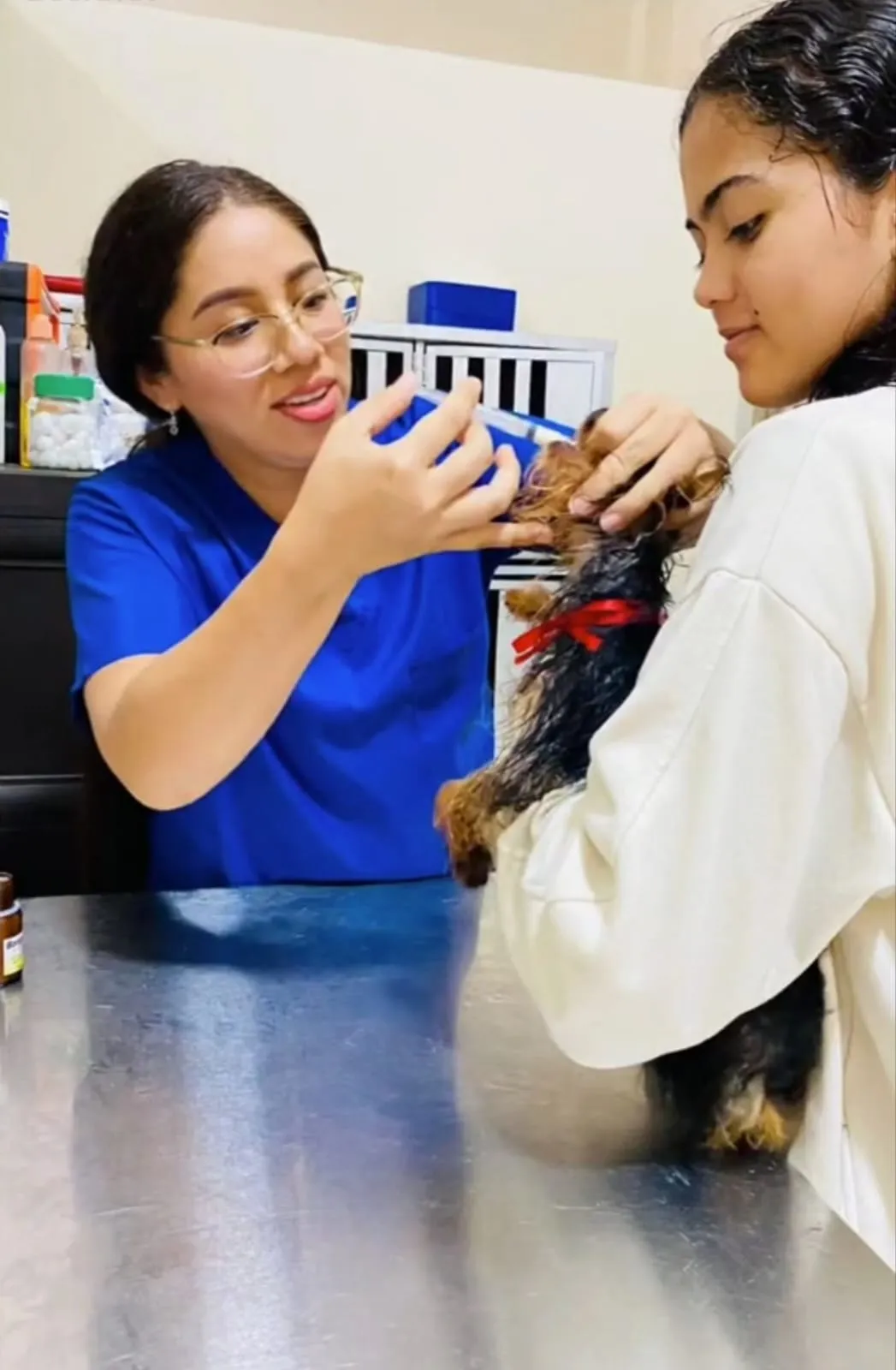 Veterinaria revisando un Yorkshire Terrier